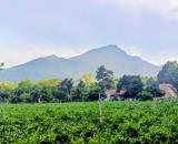 Hơn 3tỷ có 889m đất gần sân golf Suối Hai, Ba Vì, Ba Trại, view đồng, TỰA NÚI, đường thông