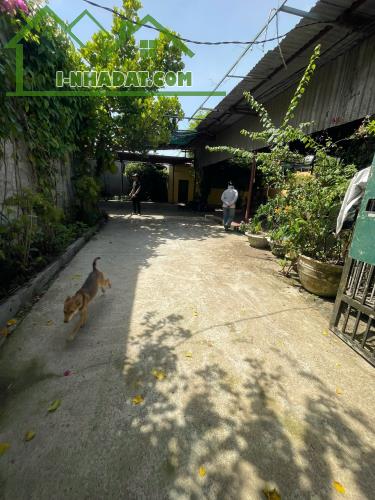 Cho thuê dãy trọ 25 phòng khu vực Phước Đồng, dt 1000m giá 60 triệu - 3