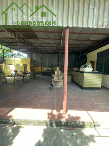 Cho thuê dãy trọ 25 phòng khu vực Phước Đồng, dt 1000m giá 60 triệu - 5