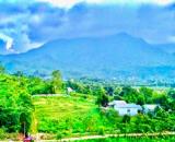 Đất rẻ Minh Quang, Ba Vì, mặt đường nhựa, vuông, tựa núi, 1067m, 5.45tỷ