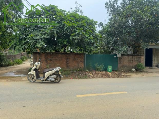 BÁN LÔ GÓC 2 MẶT TIỀN ĐƯỜNG 446 – VỊ TRÍ ĐẸP, GIÁ TỐT - 1