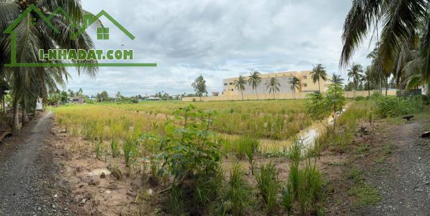 CHÍNH CHỦ CẦN BÁN ĐẤT VỊ TRÍ ĐẸP CẠNH TRƯỜNG TIỂU HỌC NGUYỄN THỊ TỐT – GÒ CÔNG TÂY, TIỀN