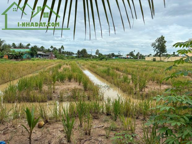 CHÍNH CHỦ CẦN BÁN ĐẤT VỊ TRÍ ĐẸP CẠNH TRƯỜNG TIỂU HỌC NGUYỄN THỊ TỐT – GÒ CÔNG TÂY, TIỀN - 1