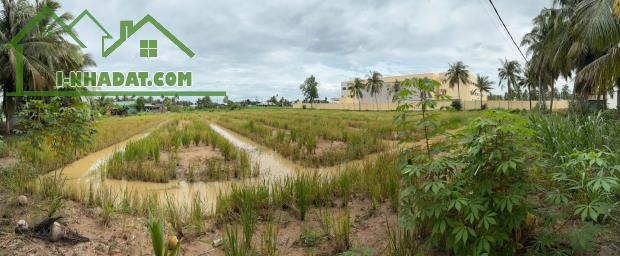 CHÍNH CHỦ CẦN BÁN ĐẤT VỊ TRÍ ĐẸP CẠNH TRƯỜNG TIỂU HỌC NGUYỄN THỊ TỐT – GÒ CÔNG TÂY, TIỀN - 2