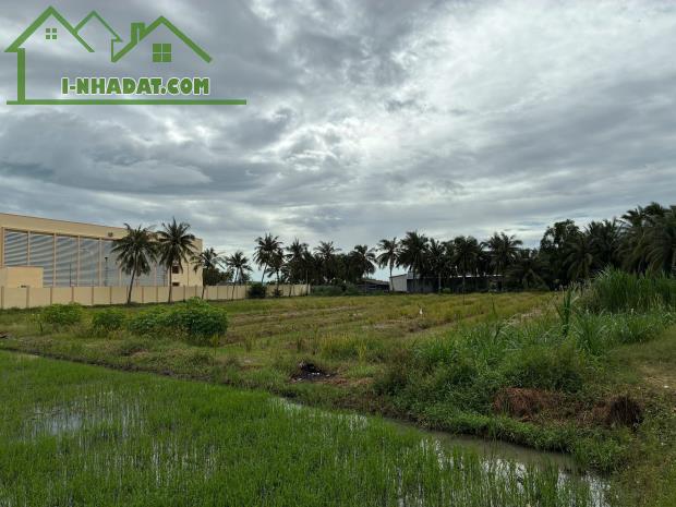CHÍNH CHỦ CẦN BÁN ĐẤT VỊ TRÍ ĐẸP CẠNH TRƯỜNG TIỂU HỌC NGUYỄN THỊ TỐT – GÒ CÔNG TÂY, TIỀN - 3
