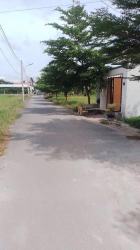 Bán nền 100m2 đường nhựa kế bên khu công nghiệp Tân Hương,Đồng Tháp - 2