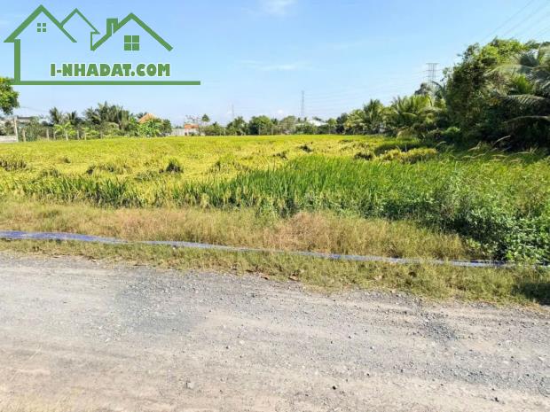 Bán đất lúa đường đá xanh xe tải xã Nhựt Chánh dt 3004m2 giá 4,85 tỷ