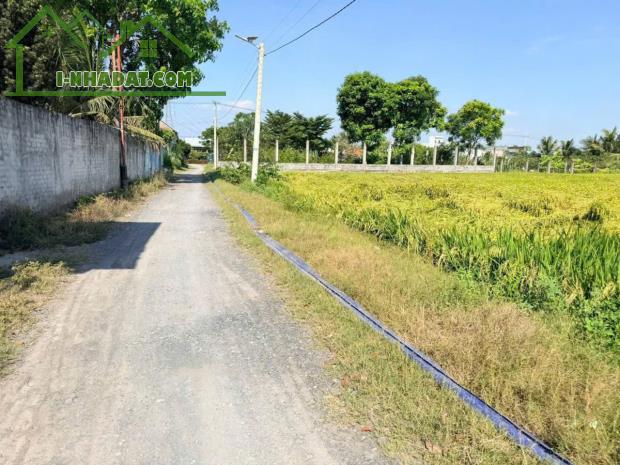 Bán đất lúa đường đá xanh xe tải xã Nhựt Chánh dt 3004m2 giá 4,85 tỷ - 1