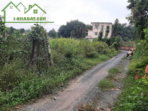 CHO THUÊ MẶT BẰNG ĐẤT TRỐNG 1100m² (CÓ THỔ CƯ) - 2
