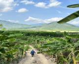 lô đất view đẹp 13.000m2 giá chỉ 114k/m2 đường oto gần chợ, trường xã Diên Tân, Diên Khánh