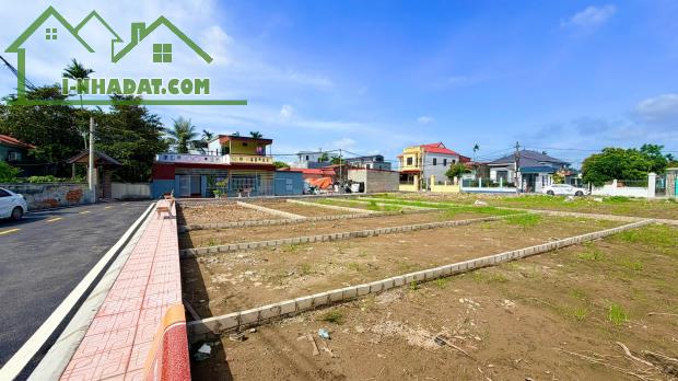 Nhanh tay sở hữu lô đất đẹp, vị trí tiềm năng tại An Lão - 2
