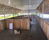 Cho thuê kho, mặt bằng mặt tiền  Nguyễn Tất Thànhdt gần 1000m ngang 10m, giá 10 triệu/th