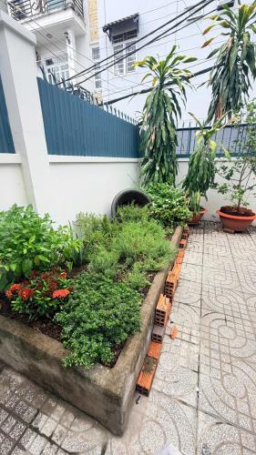 CHO THUÊ NHÀ CẤP 4 SÂN RỘNG – DƯƠNG CÁT LỢI, NHÀ BÈ - 4