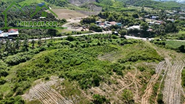 bán đất 2,2 hectaquy hoạch thổ cư đường betong giá rẻ gần trung tâm huyện Khánh Vĩnh - 2