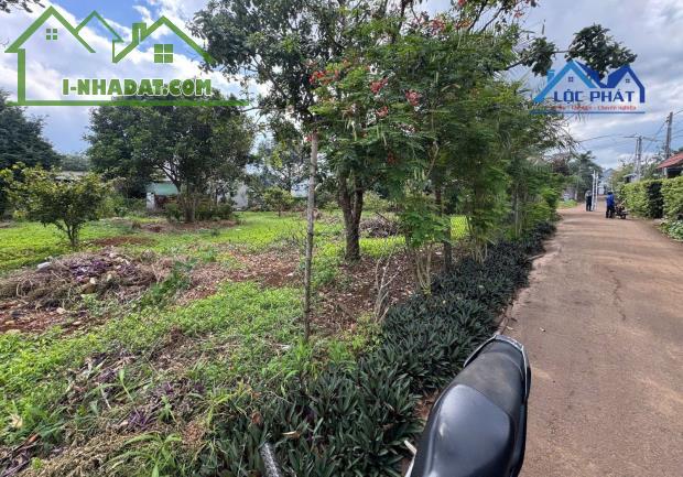 BÁN ĐẤT THỔ CƯ MẶT TIỀN XÃ XUÂN MỸ, HUYỆN CẨM MỸ, ĐỒNG NAI – GIÁ CHỈ 7,9 TỶ - 1