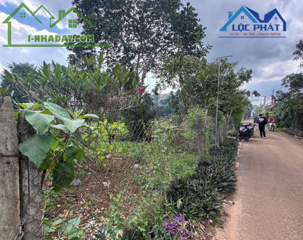 BÁN ĐẤT THỔ CƯ MẶT TIỀN XÃ XUÂN MỸ, HUYỆN CẨM MỸ, ĐỒNG NAI – GIÁ CHỈ 7,9 TỶ - 2