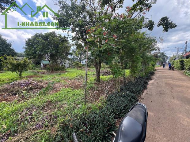 BÁN ĐẤT THỔ CƯ MẶT TIỀN XÃ XUÂN MỸ, HUYỆN CẨM MỸ, ĐỒNG NAI – GIÁ CHỈ 7,9 TỶ - 3