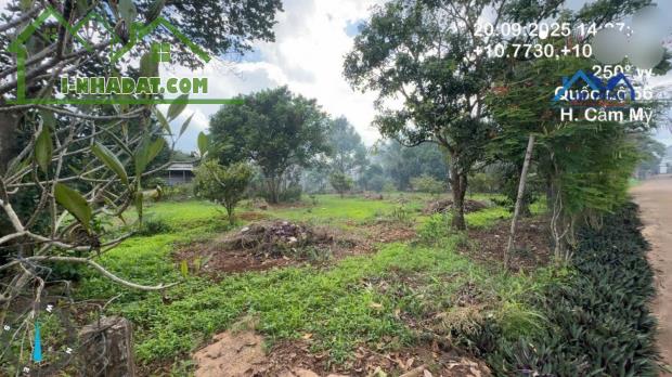 BÁN ĐẤT THỔ CƯ MẶT TIỀN XÃ XUÂN MỸ, HUYỆN CẨM MỸ, ĐỒNG NAI – GIÁ CHỈ 7,9 TỶ - 4