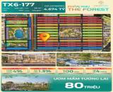 🔥 NHỈNH 800 TRIỆU CÓ NGAY SIÊU PHẨM LIỀN KỀ TX6-177  THE FOREST – VINHOMES GREEN CITY 🔥