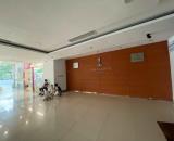 CHO THUÊ TÒA NHÀ – 217 QUAN HOA | 7 TẦNG + 1 TUM + 1 HẦM | MẶT TIỀN HƠN 10M