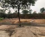 Bán đất ở tại Liên nghĩa, Hưng Yên, 350m2, Vuông Vắn, Xây Nhà được