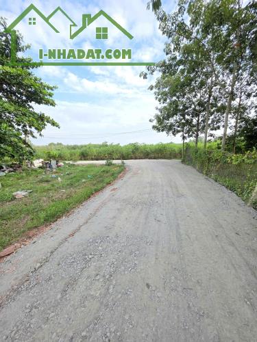 240TR--KHÔNG CẦN LÔ QUÁ LỚN, CHỈ CẦN VỪA TIỀN LÀM NHÀ ĐƯỢC NGAY - 4