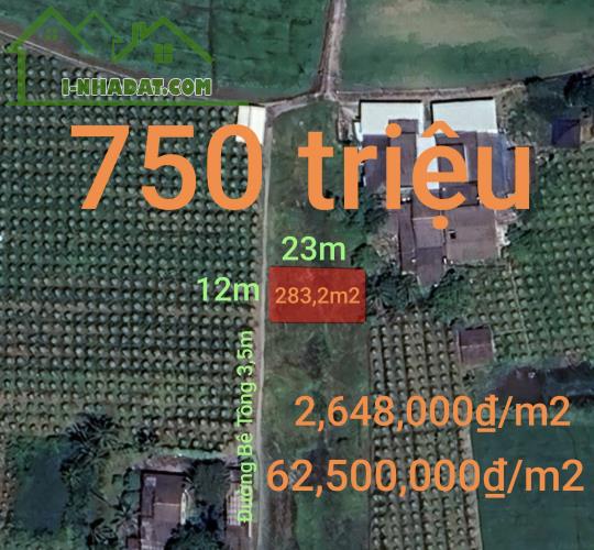 Bán lô đất thổ gần KCN Phú Ngãi Trị giá 750 triệu - 4