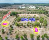 Cần bán nhanh nền biệt thự đường 30m  dự án Sunflower City Nhơn Trạch ( Thăng Long Real )