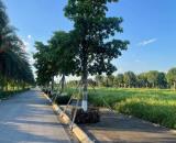 ►  MIK Phố Nối – “Ecopark” mới của Mỹ Hào, Hưng Yên