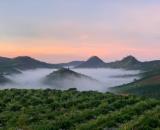 Bán nhà đất view săn mây triệu s  tại trung tâm Đạ knang đam Rông Lâm Đồng