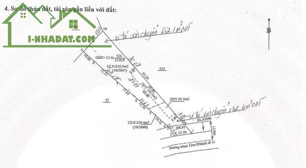 CHO THUÊ ĐẤT TRỐNG MẶT TIỀN ĐƯỜNG NHỰA – DIỆN TÍCH 1.230,8M², THỔ CƯ 984,5M² – PHÙ HỢP - 3