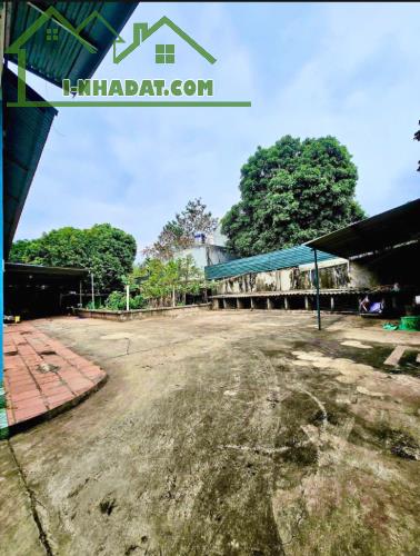 📍 Bán hơn 500m² đất tại TP. Hòa Bình – Giá tốt - 2