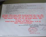 Chính Chủ Bán Đất Ruộng Đã Lên Líp sẵn Tại Ấp 2 Vụ(đường cái tôm) xã Tân Thạnh, Tây Ninh