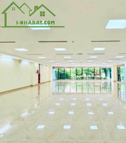 Bán Gấp Toà VP 9T KD 160Tr/Tháng Phố Thái Thịnh Đống Đa 140M MT 7M Giá 95.8Tỷ - 3