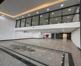 Bán Nhà MP Trịnh Đình Cửu-Lô Góc-Gần Vành Đai 2.5 - 180/200m2, 1 Hầm+ 7 Nổi, MT 8.5m-95 TỶ