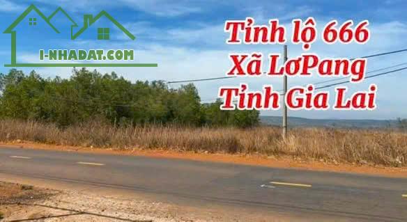 ĐẤT MẶT TIỀN TỈNH LỘ 666, GIA LAI – VỊ TRÍ ĐẦU TƯ CỰC TỐT