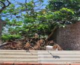 Bán đất Đại Áng 30m², ô tô vào đất giá chỉ 3,5 tỷ có thương lượng