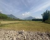 bán 1.500m2 đất làm nhà vườn giá chỉ 480tr đường betong view đẹp, Khánh Vĩnh, Khánh Hòa