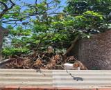 Bán đất Đại Áng 30m², ô tô vào đất, giá 3,5 tỷ