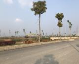 CHUYỂN NHƯỢNG 15.000m2 Khu Công nghiệp Hiệp Hòa – Bắc Ninh