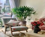 CHO THUÊ & BÁN BIỆT THỰ VINHOMES IMPERIA HẢI PHÒNG – FULL NỘI THẤT CAO CẤP, VỊ TRÍ ĐẮC ĐỊA