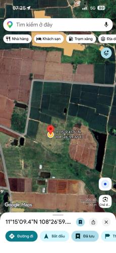 CHÍNH CHỦ BÁN ĐẤT VƯỜN 8.810m² – XÃ HẢI NINH, TỈNH LÂM ĐỒNG - 1