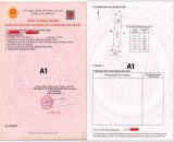 🔥 HIẾM CÓ KHÓ TÌM - LÔ ĐẤT PHƯỚC HỘI 80M² THỔ CƯ, GẦN BIỂN PHƯỚC HẢI, GIÁ DƯỚI 1 TỶ