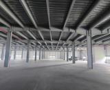 CHO THUÊ NHÀ XƯỞNG MỚI 16.400M² TẠI KHU CÔNG NGHIỆP THUẬN THÀNH I – BẮC NINH