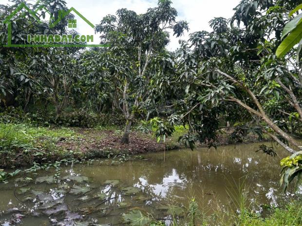 ĐẦU TƯ SINH LỜI – CHÍNH CHỦ CẦN BÁN ĐẤT Tại  xã Đông Hiệp, huyện Cờ Đỏ, tp Cần Thơ - 2