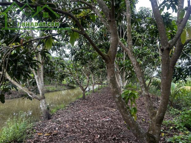 ĐẦU TƯ SINH LỜI – CHÍNH CHỦ CẦN BÁN ĐẤT Tại  xã Đông Hiệp, huyện Cờ Đỏ, tp Cần Thơ - 3