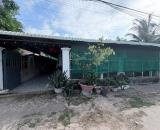 ⭐️Bán nhà mặt tiền bê tông ấp 2, Suối Ngô, Tân Hòa, Tây Ninh - Có sẵn nhà ở, thổ cư 145m²;