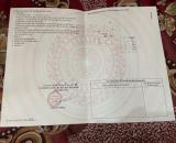 ►  BÁN GẤP LÔ ĐẤT GIÁ CỰC TỐT – Thích hợp đầu tư hoặc xây biệt thự xinh xinh.