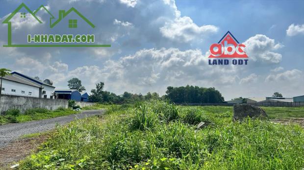 NT181 cho thuê bãi , mặt bằng phù hợp làm bãi cont, depot. bãi tập kết, hiện trạng bằng - 4