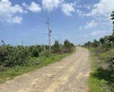 CHÍNH CHỦ BÁN TRANG TRẠI – KHU NGHỈ DƯỠNG 10,3HA – GIÁ CHỈ 23,5 TỶ